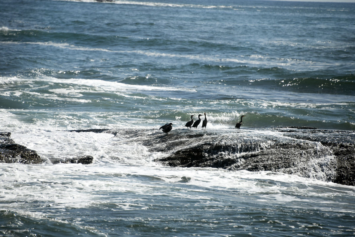 261 Brenton Point at Newport Rhode Island.jpg